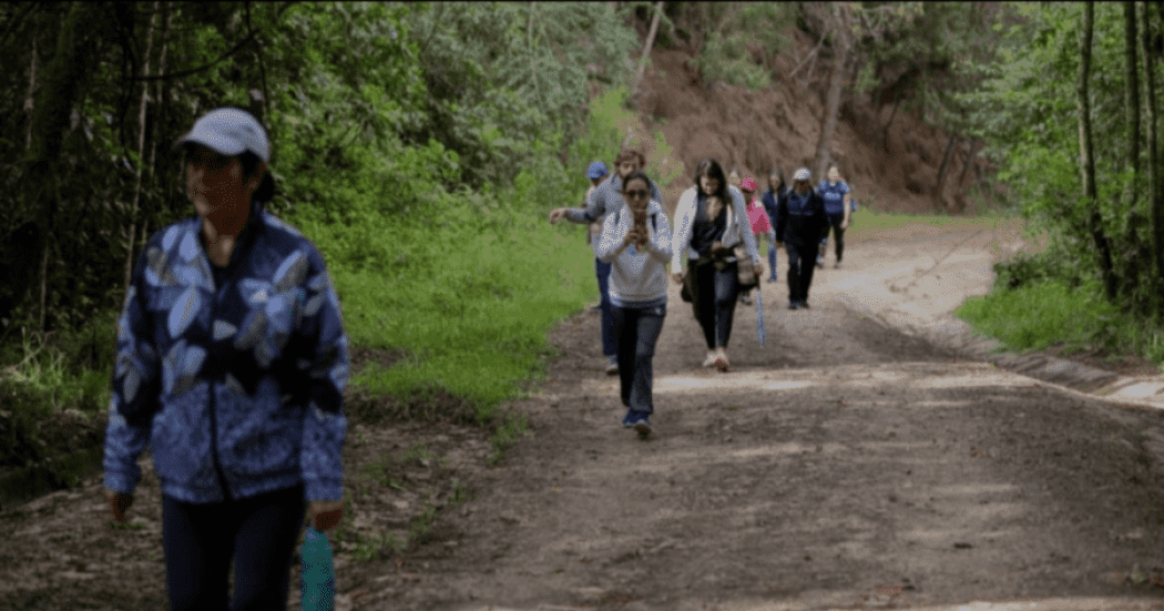 Imagen de personas en una caminata por un sendero ecológico.