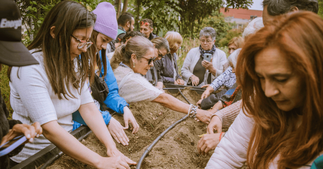Imagen de personas sembrando semillas