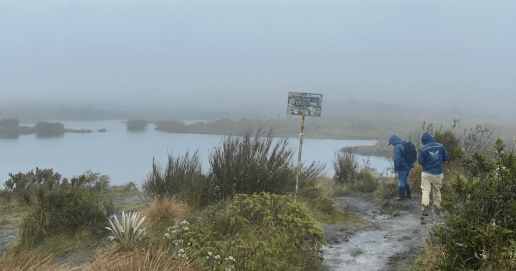 Imagen de dos funcionarios de la CAR en el páramo recuperado 