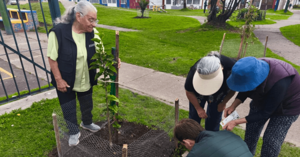 Imagen de personas plantando un árbol con el fin de renaturalizar la zona