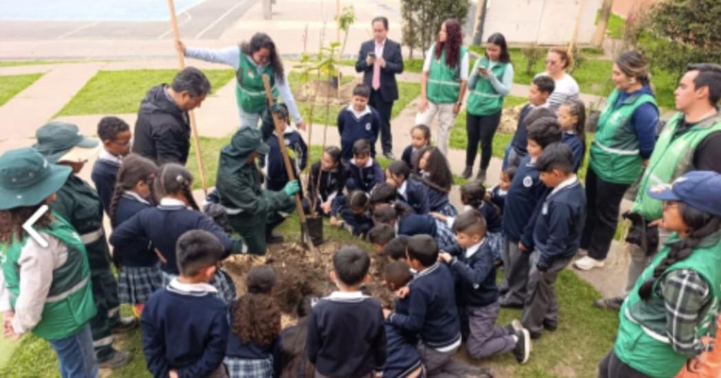 Foto del Colegio Alfonso Reyes Echandía en Bogotá durante la plantación de 49 nuevos árboles