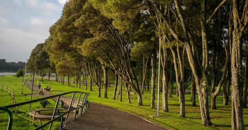 Foto del parque Simón Bolívar de Bogotá y sus senderos peatonales rodeados de árboles.
