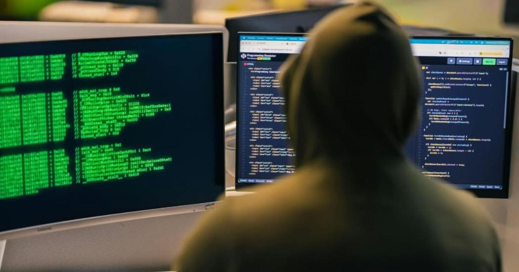 En la foto un delincuente 