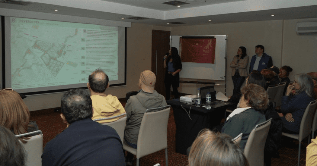 Imagen de una mujer exponiendo el proyecto ante la ciudadanía
