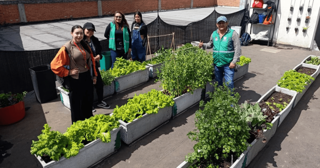 Imagen de esudiantes sembrando en la huerta.