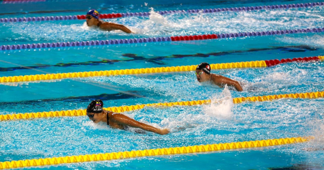 Imagen de nadadoras en competencia