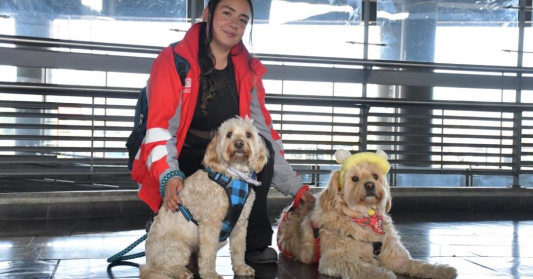 Foto de una funcionaria de TransMilenio acompañada de dos perros