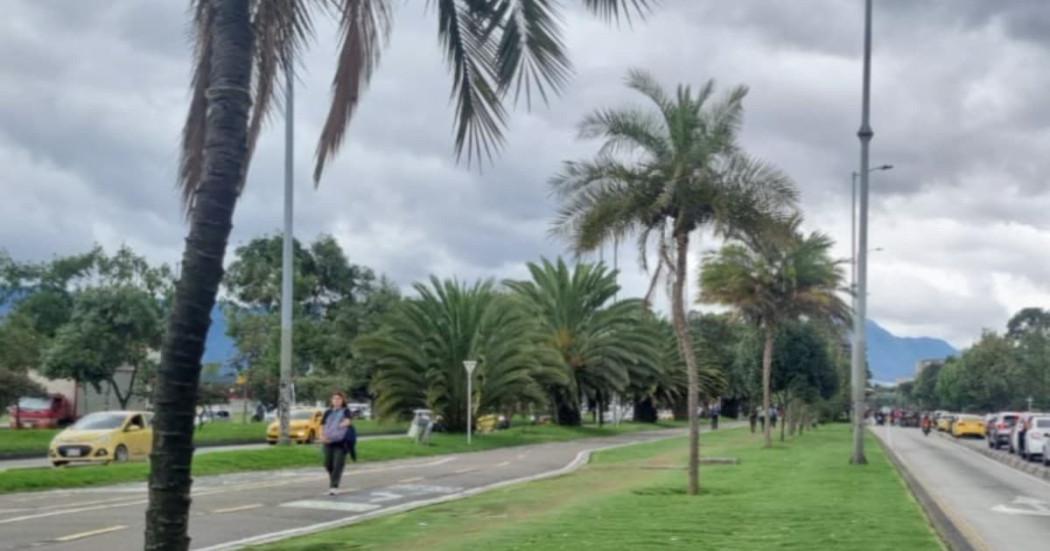 Foto de manifestantes en una vía de Bogotá 