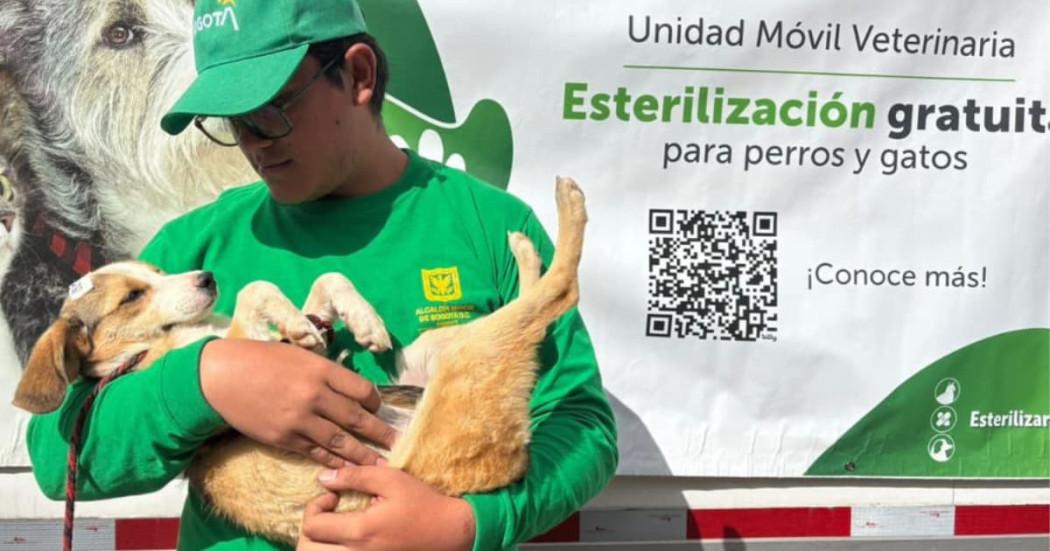 Un señor del IDPYBA alzando un perro que acabaron de esterilizar 