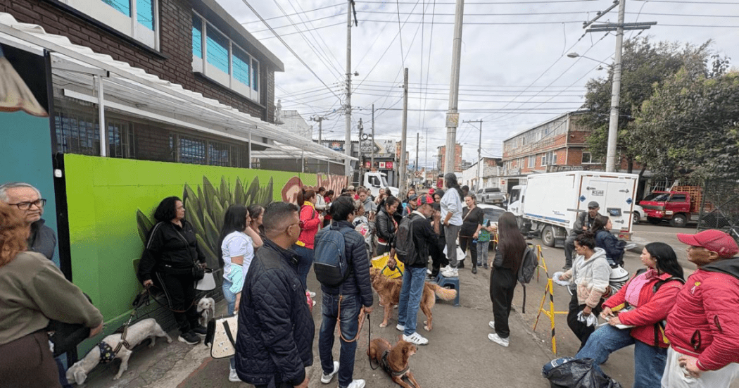 Foto de un grupo de ciudadanos con sus mascotas en la jornada de Bienestar Animal
