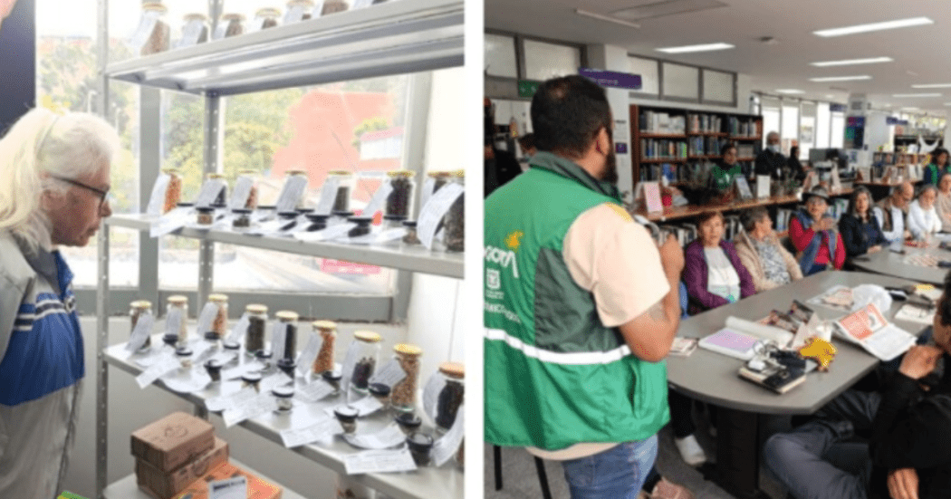 Dos imágenes en mosaico en las que se ven varias personas