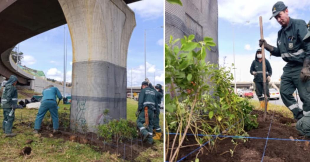 Fotos de los 11 nuevos jardines bajo puentes calle 127 con avenida Boyacá en Bogotá