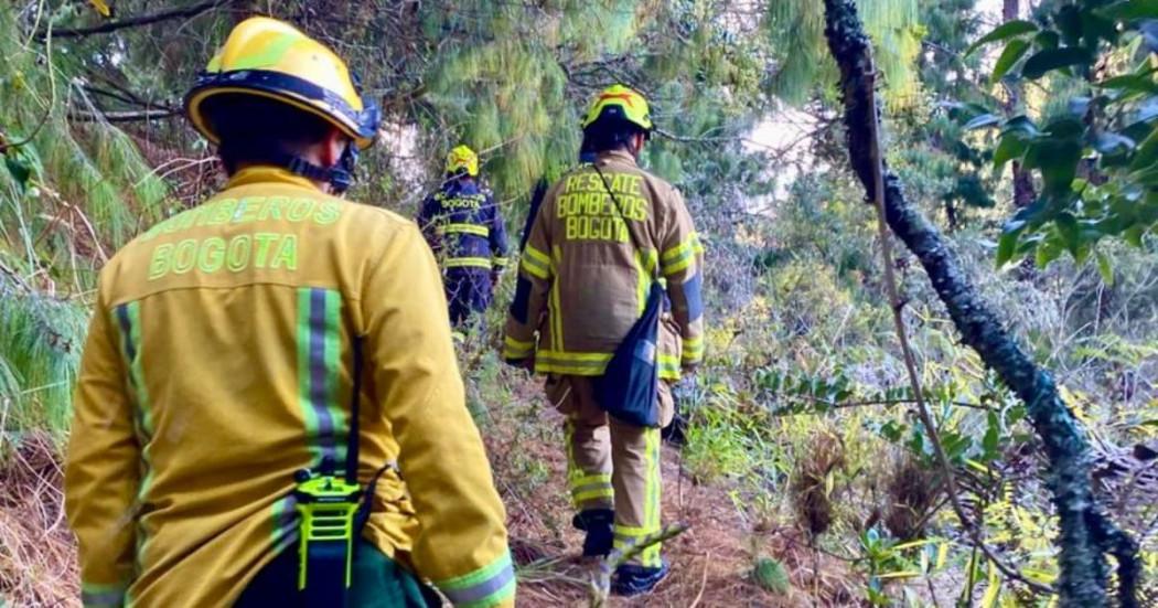 Foto de bomberos caminando por una zona verde.