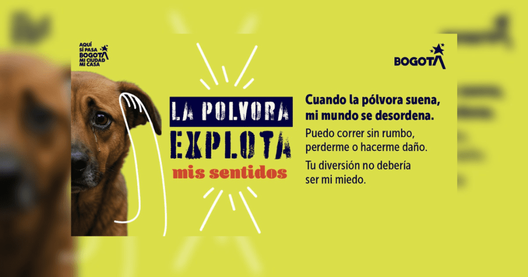 Pieza gráfica invitando a proteger a los animales de pólvora