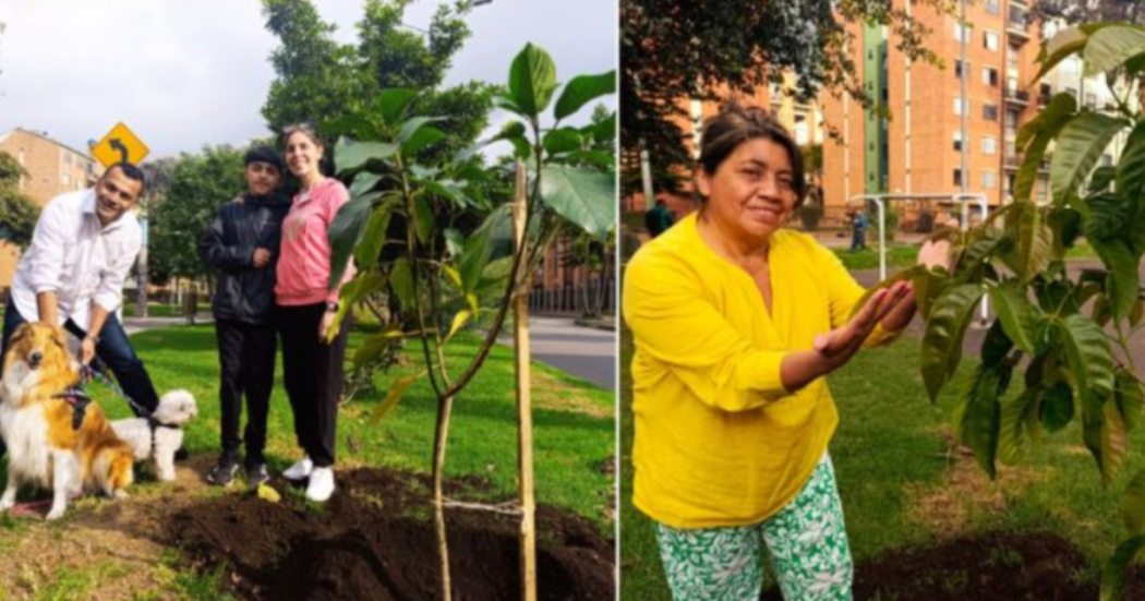 Imagen de ciudadanía ranaturalizando el sector resedencial