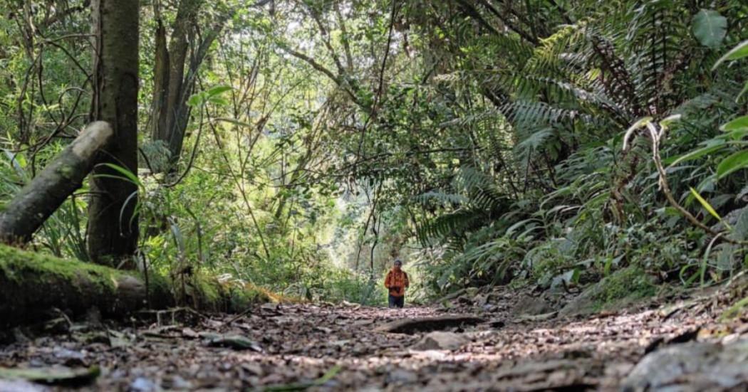 Caminos de los Cerros Orientales