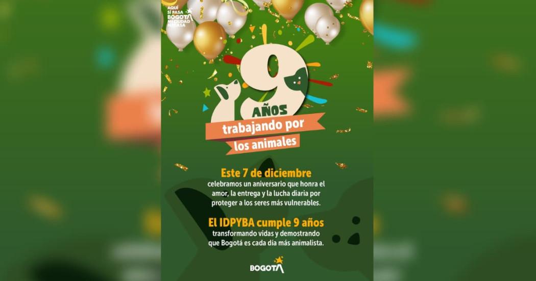 Pieza gráfica del cumpleaños número nueve del IDPYBA. 