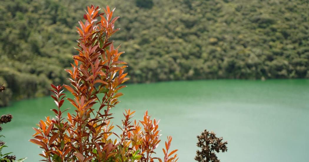 Imagen de La Laguna de Guatavita