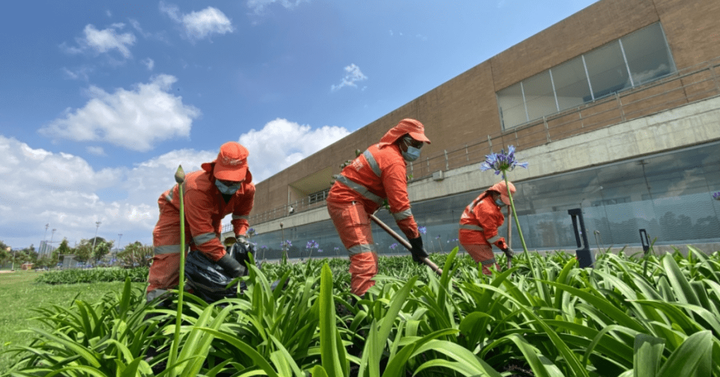 Imagen de personas arreglando los jardines