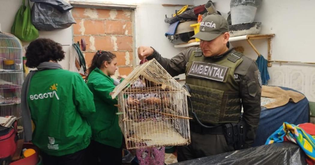 Jaula en la que tenían de mascota un animal silvestre