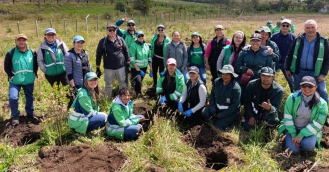 Fotos de la plantación de 164 nuevos árboles y arbustos en Ciudad Bolívar, al sur de Bogotá.