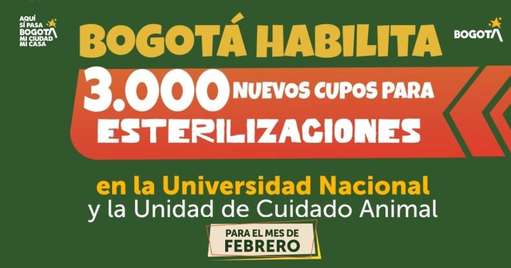 Pieza gráfica de jornada de esterilización.