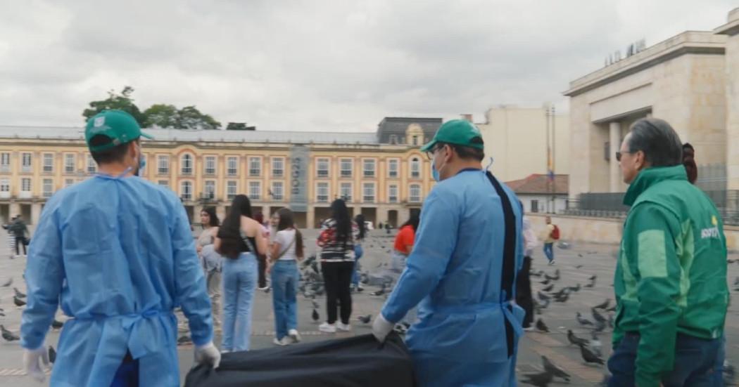 Foto de funcionarios de Protección Animal en la Plaza de Bolívar, realizando procesos de cuidado y esterilización de palomas.