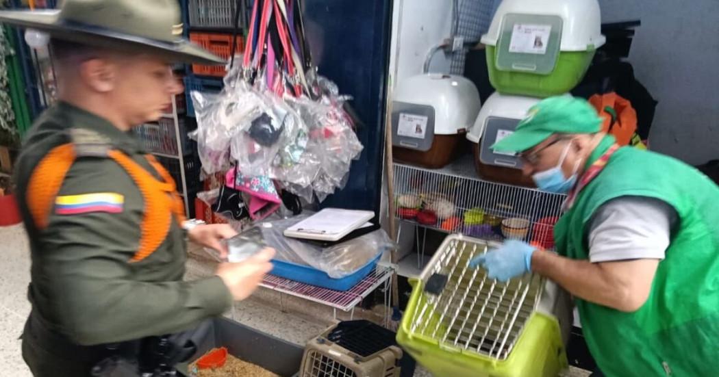 Foto del operativo en la Plaza de Mercado de 20 de Julio.