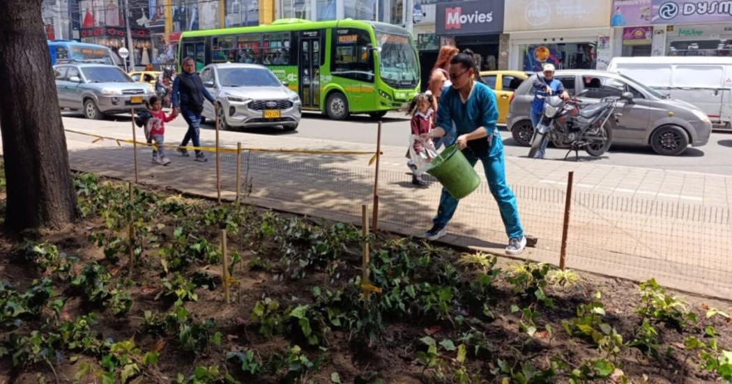 Foto de la comunidad en plantación y cuidado de árboles.