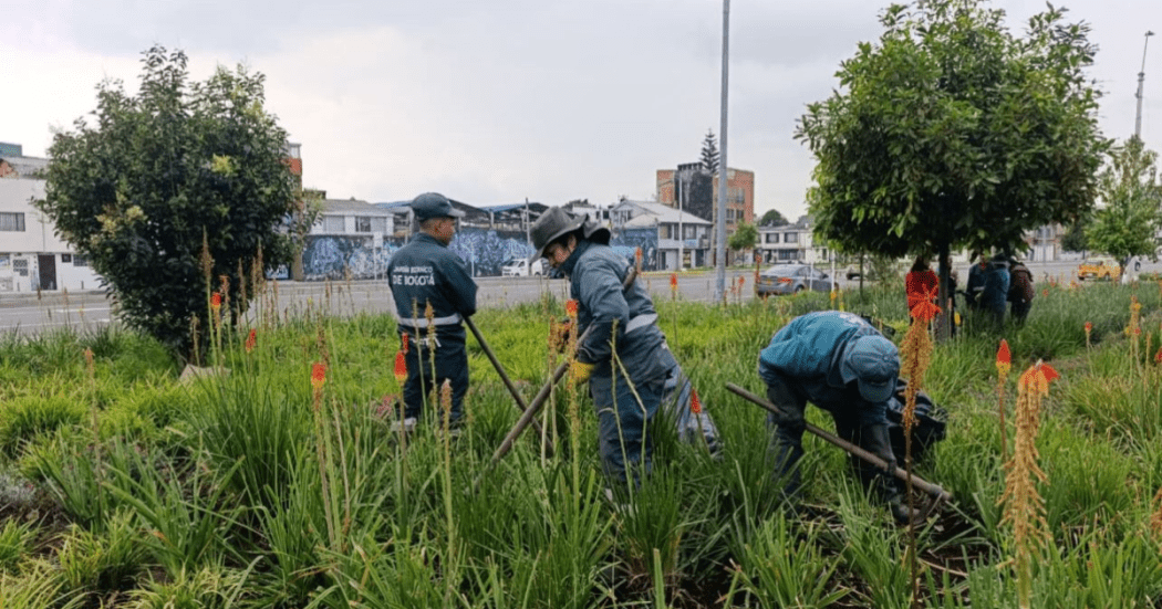 Imagen de funcionarios realizando mantenimiento a las jardineras.