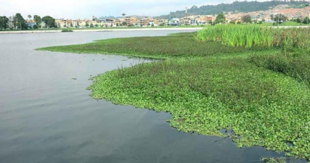 Foto del humedal Juan Amarillo