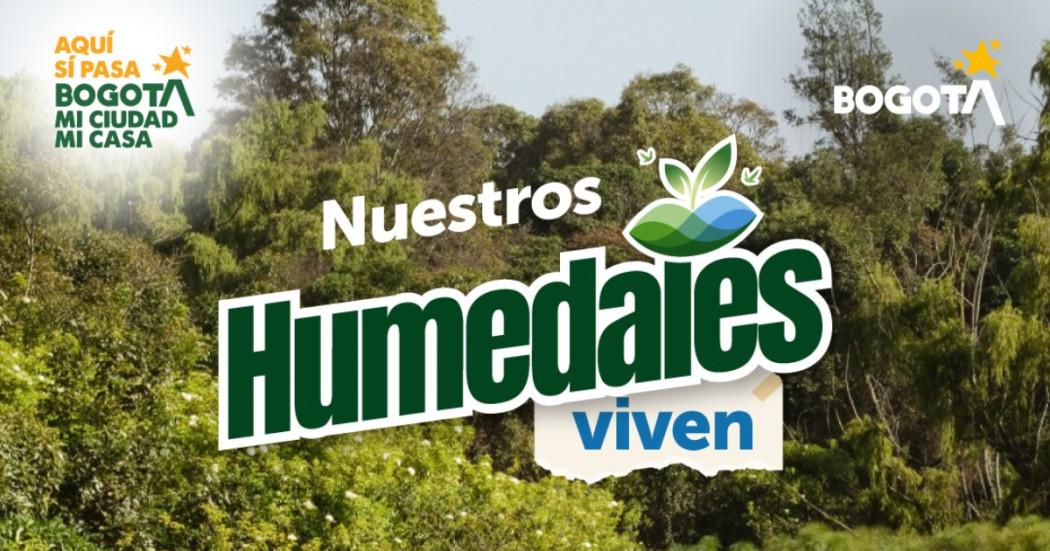 Imagen gráfica del evento 'Humedales viven' 