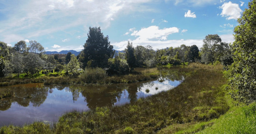 Foto de un humedal en Bogotá 
