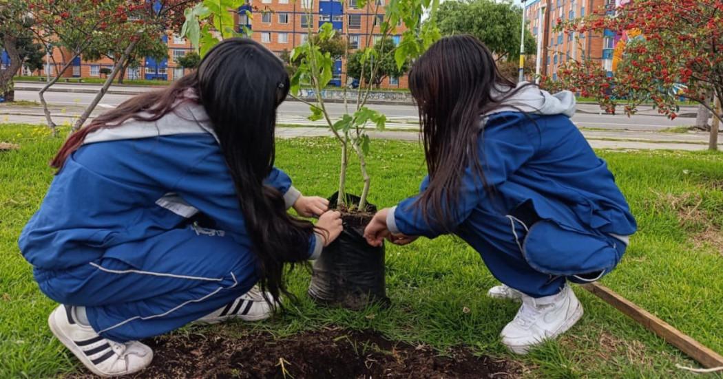 Niñas sembrando árboles 