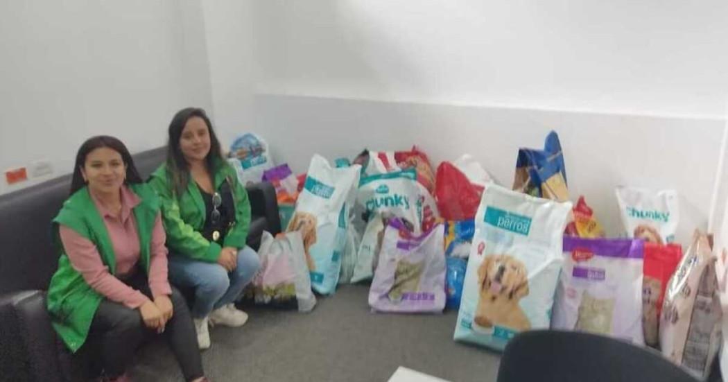 Haz parte de la 'donatón' en Bogotá por los animales damnificados en Córdoba hoy 8 de febrero de 2026.