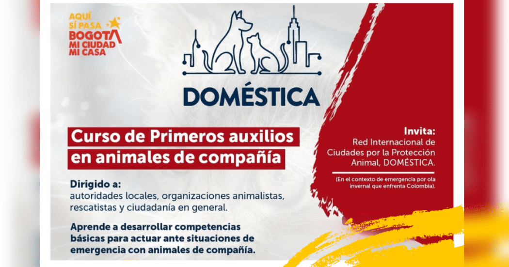 Imagen con información del curso virtual gratuito