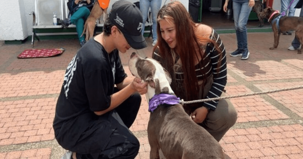 Imagen de la perrita con su nueva familia