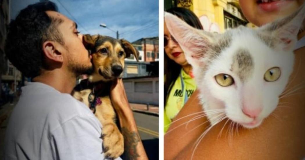 Foto de dos mascotas con sus dueños en Bogotá.