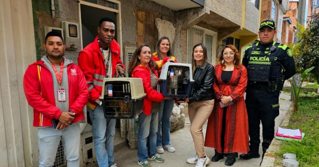 Foto del proceso de rescate de dos gatos en Suba Tibabuyes.