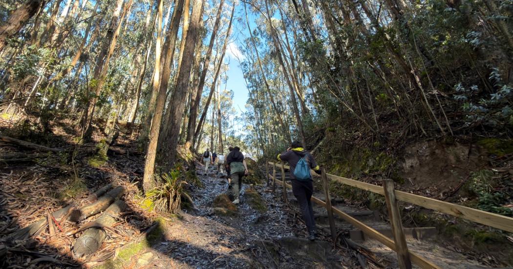 Foto que muestra un sendero ecológico 