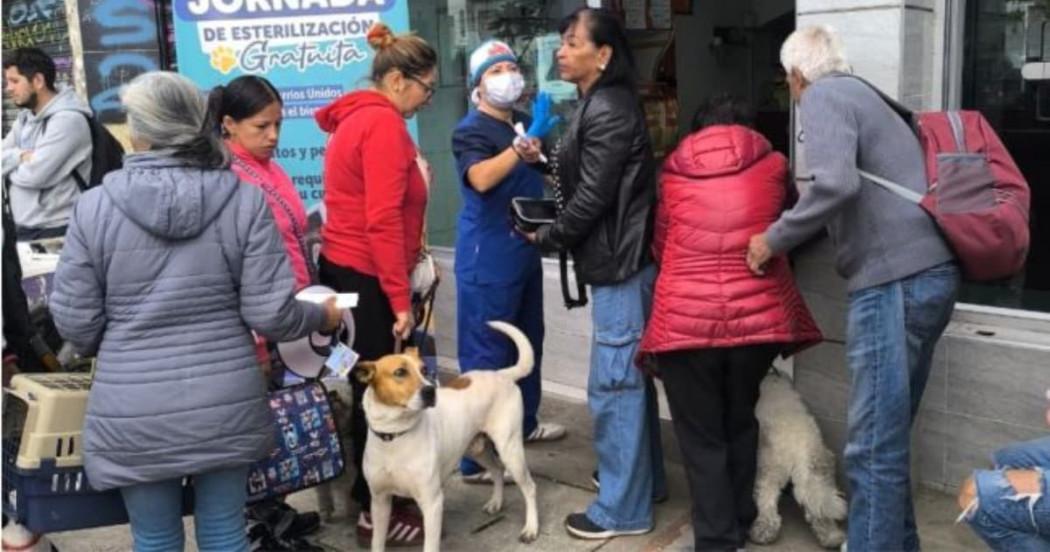 Ciudadanos con sus mascotas en jornada de esterilización en Barrios Unidos.