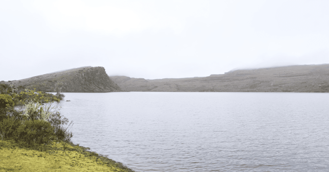 Imagen panorámica de Laguna