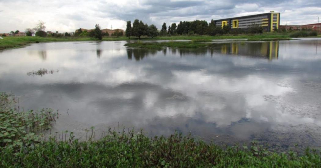 Imagen de Humedal Capellanía de Bogotá