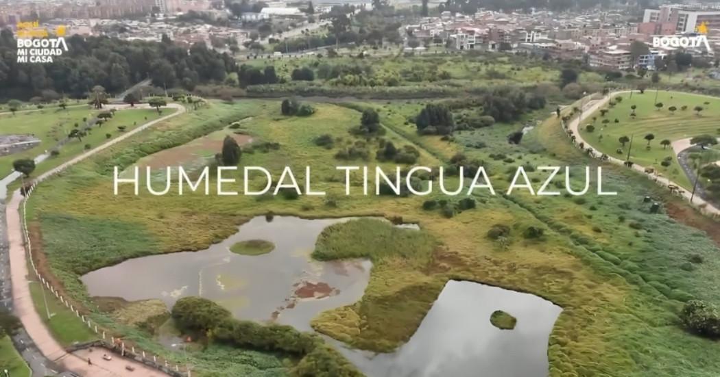 Foto que muestra el Humedal Tingua Azul