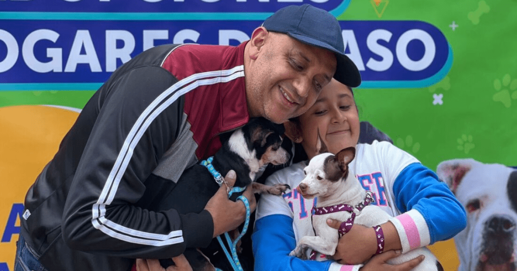 Imagen de personas adoptando unos perros