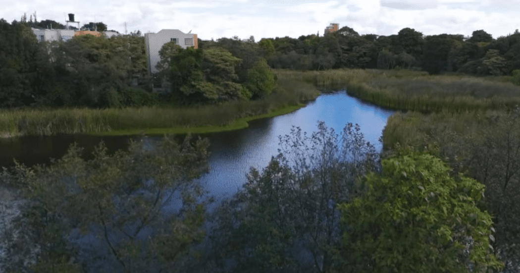 Imagen panorámica del Humedal Santa María del Lago