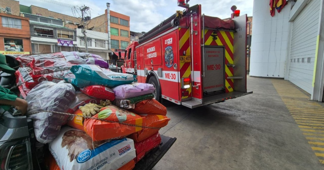 Imagen de las toneladas de ayuda para animales de Córdoba