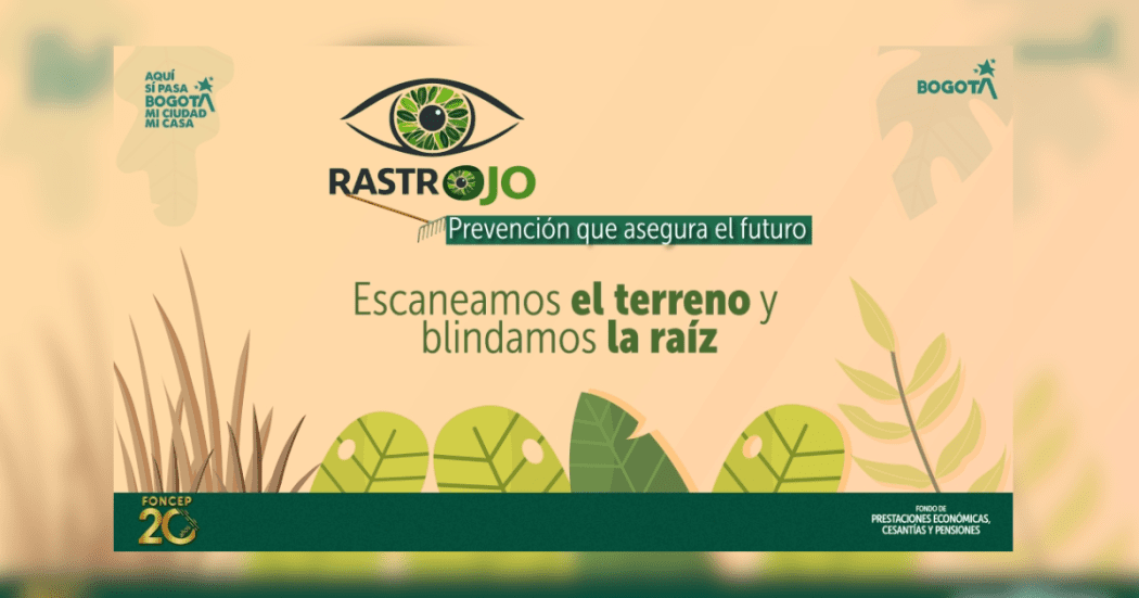 Imagen de la pieza gráfica del FONCEP