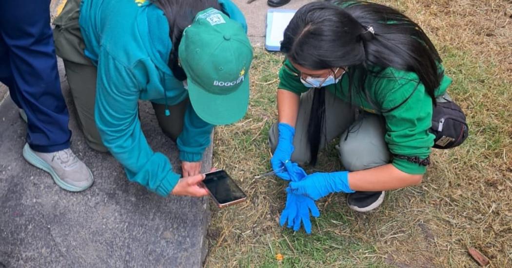 Foto de funcionarios del IDPYBA realizando labores de investigación.