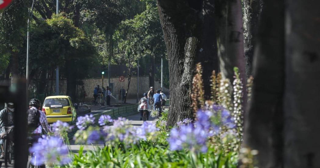 Foto de una vía de Bogotá donde resaltan bicicletas